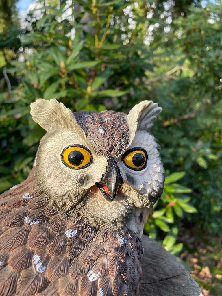 Image hibou gris, jardin, arbres, pelouse, étang 30cm, Enlèvement ou Envoi, Neuf, Synthétique, Animal