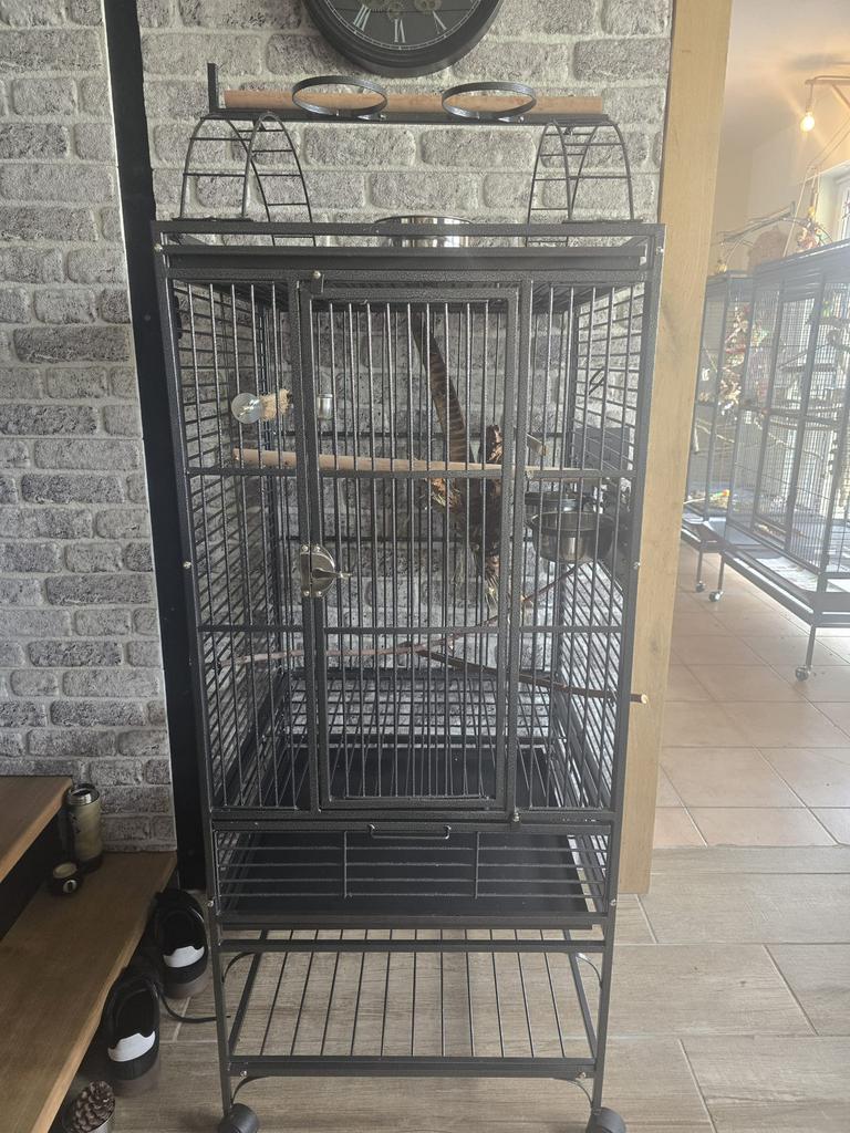 Prachtige kooi, Dieren en Toebehoren, Vogels | Hokken en Kooien, Zo goed als nieuw, Ophalen