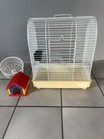 Cage pour Hamster,souris,rats..+ accessoires, Animaux & Accessoires, Enlèvement ou Envoi, Comme neuf, Cage, Hamster
