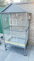 Vogelkooi/ kanaries/zebravinken, Ophalen, Vogelkooi