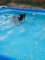 Zwembad met pomp intex, Tuin en Terras, Zwembaden, Ophalen