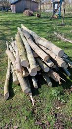 Vers wilgenhout, om zelf te klieven, Tuin en Terras, Brandhout, Ophalen
