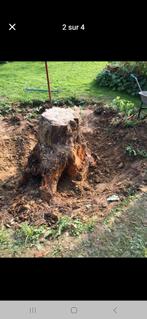 Jardinier disponible, Jardin & Terrasse