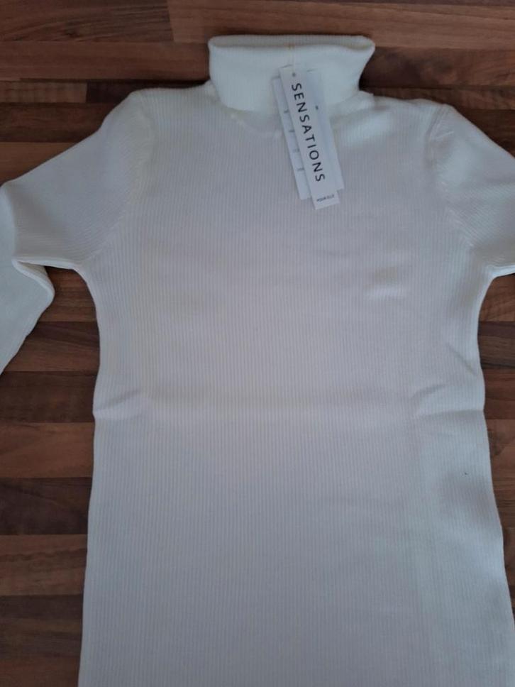 Volledig nieuwe sous pull in wit, Kleding | Dames, Truien en Vesten, Nieuw, Maat 46/48 (XL) of groter, Wit, Ophalen