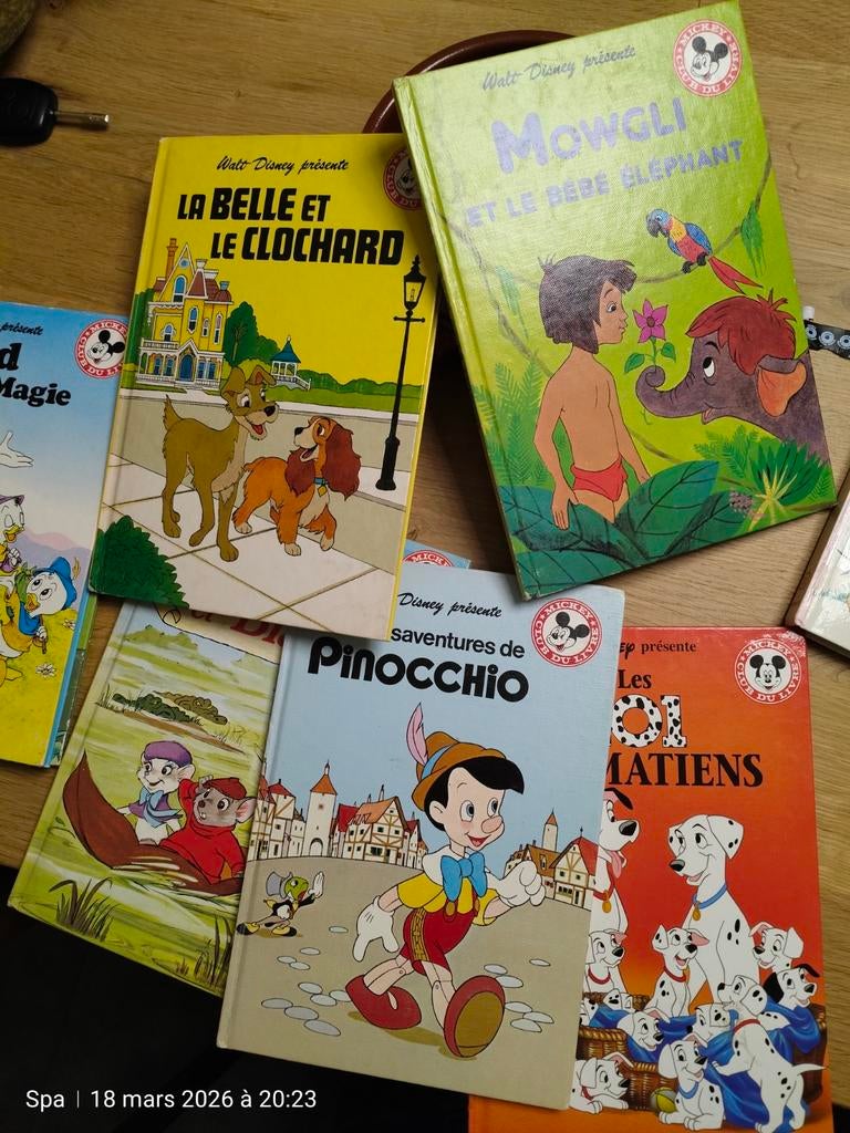 Collection Mickey Club du Livre – Walt Disney
Années 70/80, Ophalen of Verzenden