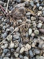 zuivere alpacamest, Enlèvement, Fumier