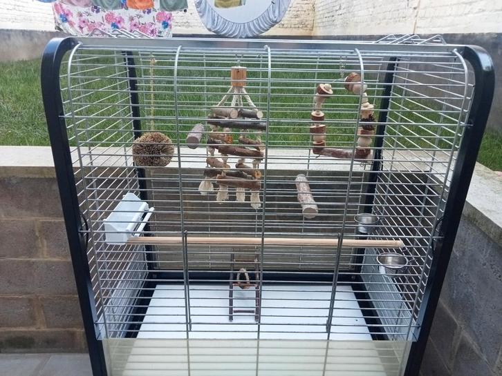 Grote papegaaienkooi met alle accessoires, Dieren en Toebehoren, Vogels | Hokken en Kooien, Zo goed als nieuw, Vogelkooi, Ophalen