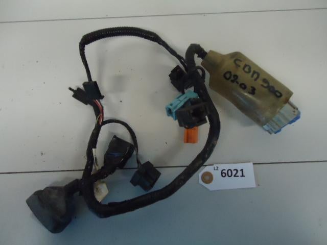 CBR900 2002 - 2003 Honda Kabelboom D1-28259