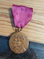 Médaille commémorative pour le cinquantenaire, Collections, Enlèvement ou Envoi