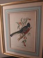 Kader, Antiek en Kunst, Ophalen