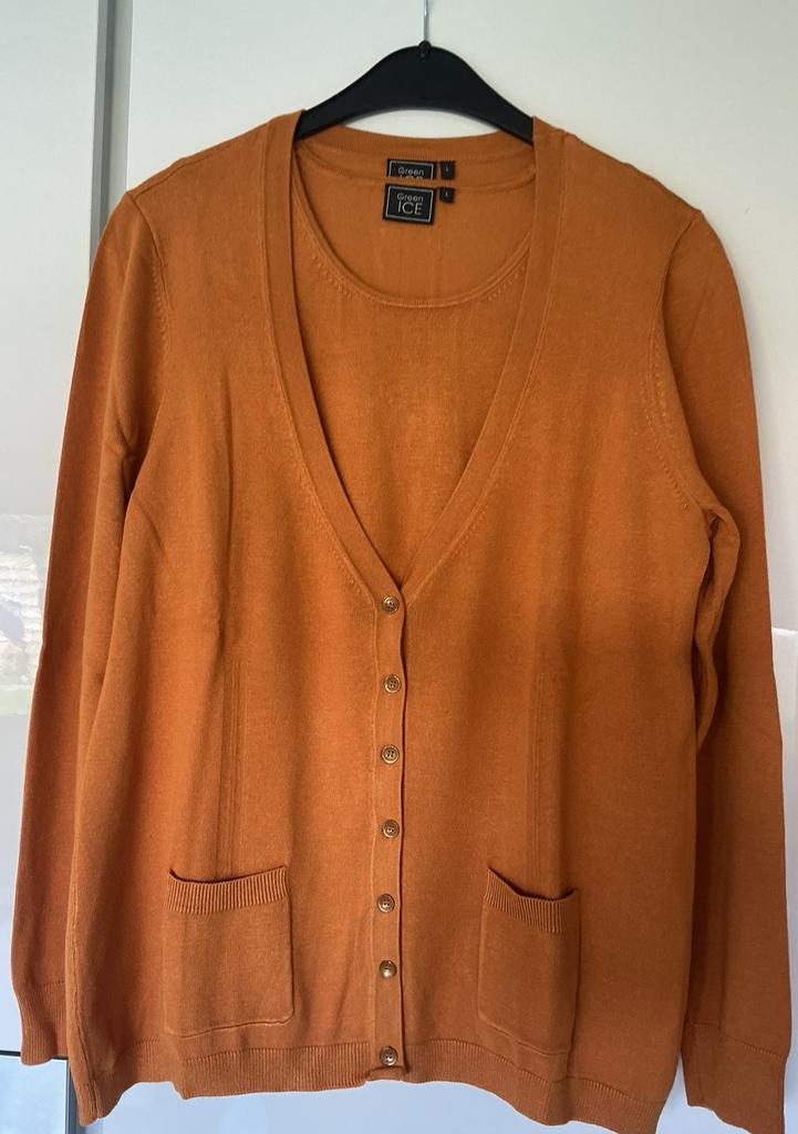 Twinsetje van green ice, Kleding | Dames, Truien en Vesten, Ophalen of Verzenden, Gedragen, Maat 42/44 (L), Geel