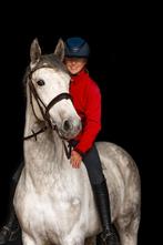 Exceptional 11y Schoolmaster Mare  Perfect Transition Horse, Animaux & Accessoires, Chevaux, 11 ans ou plus, 165 à 170 cm, Avec pedigree
