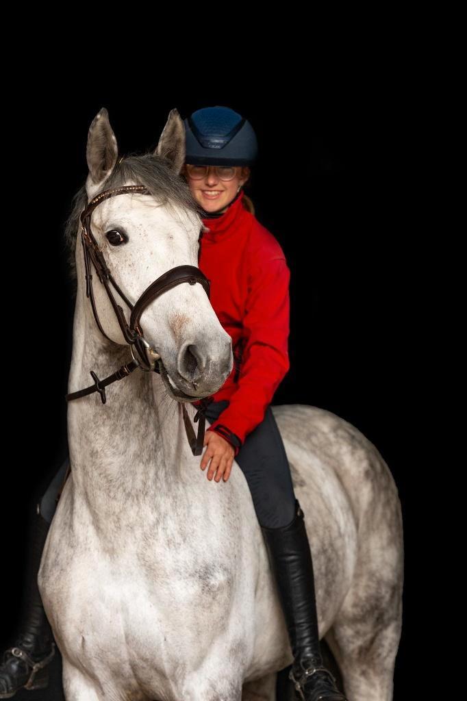 Exceptional 11y Schoolmaster Mare  Perfect Transition Horse, Animaux & Accessoires, Chevaux, Jument, 165 à 170 cm, 11 ans ou plus