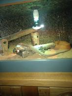 Varanus tristis tristis 1.0, Animaux & Accessoires