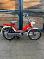 Honda camino, Enlèvement, 49 cm³, Autres marques