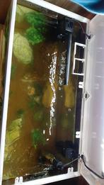 Vissen+visbak, Dieren en Toebehoren, Vissen | Aquaria en Toebehoren, Ophalen, Zo goed als nieuw