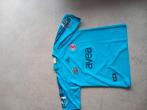 Vintage voetbal shirt Roberto carlos fenerbahce, Ophalen of Verzenden, Zo goed als nieuw, Shirt
