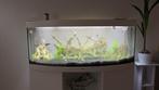 Aquariumm, Dieren en Toebehoren, Vissen | Aquaria en Toebehoren, Ophalen, Zo goed als nieuw