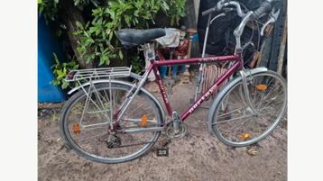 damesfiets/herenfiets/kotfiets   2st beschikbaar voor biedingen