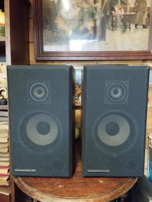 Haut-parleurs Marantz HD250., Audio, Tv en Foto, Luidsprekerboxen, Gebruikt, Ophalen of Verzenden