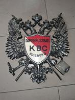 Wapenschild in ijzer, Diversen, Vlaggen en Wimpels, Ophalen, Zo goed als nieuw