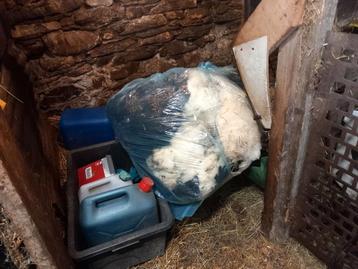 Laine de moutons  à donner  beschikbaar voor biedingen