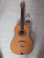 Akoestische gitaar met tas niet gebruikt., Muziek en Instrumenten, Ophalen, Zo goed als nieuw, Klassieke of Spaanse gitaar, Met koffer