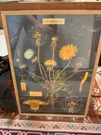 kader met print, Enlèvement, Imprimé