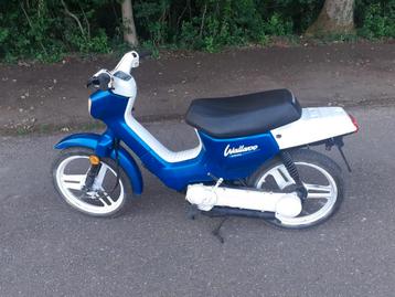 Honda wallaroo A klassen beschikbaar voor biedingen