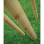 ZEER DIKKE BAMBOESTOKKEN 2 M 10 à 12 cm, Ophalen of Verzenden, Nieuw