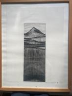 Gesigneerde ets / diepdruk (1978), Enlèvement