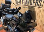 Harley-Davidson Pan Americ 1250 Special (bj 2021), 1252 cc, Bedrijf, Overig