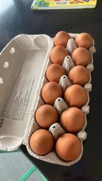 Verse grote eitjes, Diversen, Ophalen