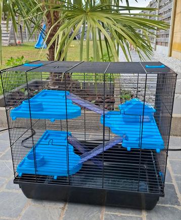Cage pour hamsters, Enlèvement, Comme neuf, Niche, Cobaye