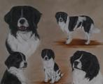 Olieverf schilderij hond Marijke Gunneweg met certificaat, Antiquités & Art, Art | Dessins & Photographie, Enlèvement