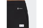 Adidas - trainingsbroek Maat XL, Kleding | Dames, Sportkleding, Adidas, Zwart, Nieuw, Ophalen of Verzenden
