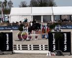 Spring/recreatie paard, Merrie