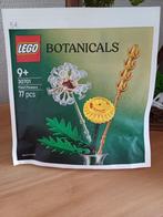 Lego Botanicals veldbloemen 30701 uitverkocht zie objecten, Kinderen en Baby's, Speelgoed | Duplo en Lego, Ophalen, Nieuw, Lego