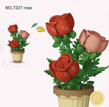 Nano blokjes rozen beschikbaar voor biedingen