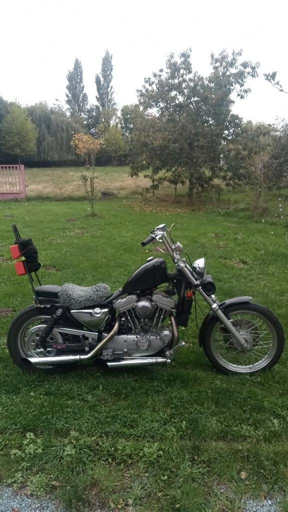 Harley Davidson Sportster 883, Motoren, Motoren | Harley-Davidson, Particulier, Ophalen