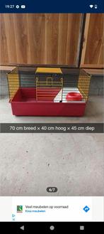 Cavia kooi voor €30, Ophalen of Verzenden, Zo goed als nieuw, Kooi, Cavia