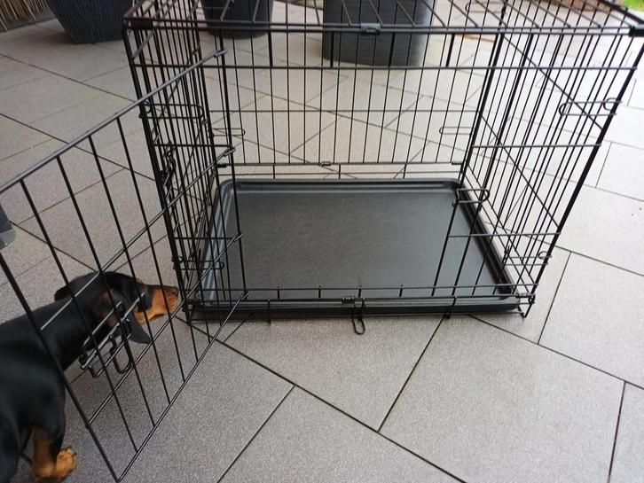 Te koop: stevige hondenbench – maat 60 x 45 x 50 (L x B x H), Animaux & Accessoires, Maisons pour chiens, Comme neuf, Chenil chien