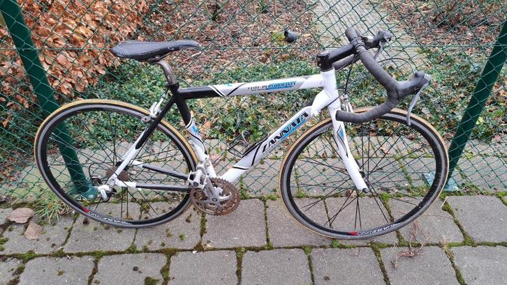 Zannata Elite performance, Fietsen en Brommers, Fietsen | Racefietsen, Gebruikt, Dames, Overige merken, Meer dan 20 versnellingen