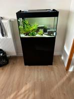 Oase aquarium van 70cm op 36cm en 50cm, Dieren en Toebehoren, Vissen | Aquaria en Toebehoren, Ophalen, Gebruikt