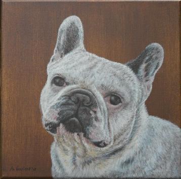 Schilderij Franse bulldog wit op canvasdoek 40x40cm