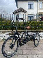 Tricycle à assistance électrique - Easy Rider Proxy, Vélos & Vélomoteurs, Comme neuf, Large