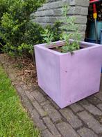 2 polyester bloempotten met perovksia, Tuin en Terras, Ophalen