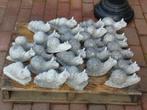 verschillende soorten slakken gemaakt van gehouwen steen!, Tuin en Terras, Ophalen, Nieuw