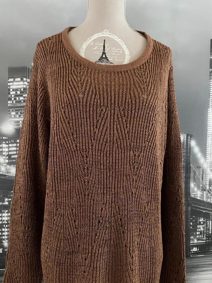 NIEUW prachtige bruine winter trui pull - 48, Kleding | Dames, Truien en Vesten, Nieuw, Maat 46/48 (XL) of groter, Bruin, Verzenden