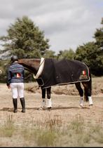 Toffe allrounder merrie te koop!!, Dieren en Toebehoren, Paarden, Merrie, Springpaard, Gechipt, 170 tot 175 cm